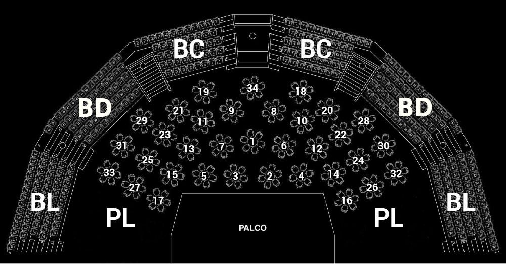 Seating plan of the Centro Cultural e de Congressos de Angra do Heroísmo auditorium
